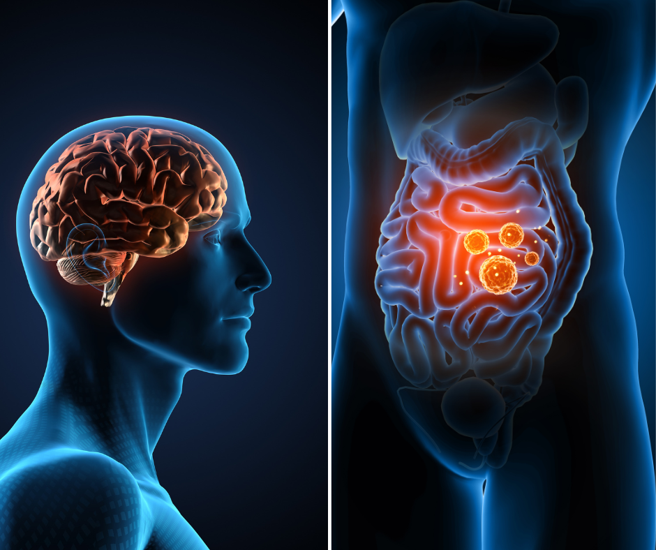Do You Know About Brain-Gut Connection?