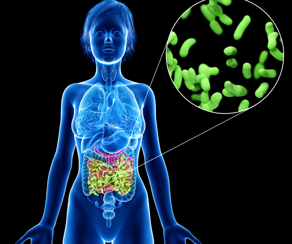 Prebiotics And Probiotics: Functional Foods For A Healthier You